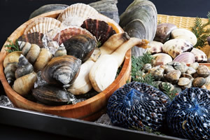 鉄分の多い食べ物「しじみ（５，３ｍｇ、１００ｇあたり）、ほっき貝（４．４ｍｇ、１００ｇ）、あさり（３．８ｍｇ、１００ｇあたり）などの貝類」