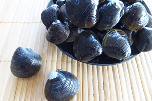 鉄分の多い食べ物　貝類の場合は「ハマグリの佃煮、しじみ、ほっき貝、あさり」