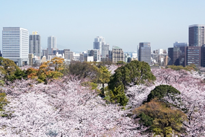 福岡「桜の開花予想は、３月２３日頃。満開日は３月３１日頃」 