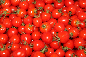 女子が好きな野菜ランキング１位「トマト（支持率６６％）」 