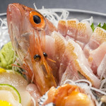 【ＤＨＡ/ＥＰＡ】幻の滋養魚「のどぐろ」の食べ方は「煮付け、刺身、塩焼き」で！産地、値段、旬の時期はいつ頃？