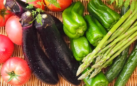夏の家庭菜園の野菜ランキング！初心者が育てやすい夏野菜のプランター栽培