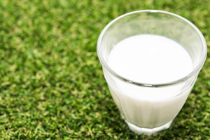 牛乳の大さじ１と小さじ１は何グラム？