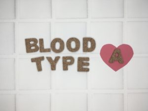 マウンテンゴリラの血液型：A型とO型