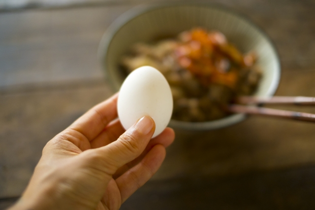 卵のせvs卵とじ牛丼の食べ方論争～生卵のせは、まずい！？卵は牛丼に合わない？～