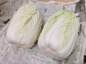 白菜（まるごと１玉）の保管方法、日持ち・賞味・消費期限：常温、冷蔵庫、冷凍保管