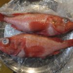 赤魚の煮付けと下味冷凍！黄金比率の人気レシピ！作り置き冷凍保存の日持ち！