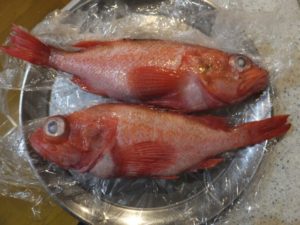 赤魚の煮付けと下味冷凍！黄金比率の人気レシピ！作り置きの冷凍保存の日持ち！