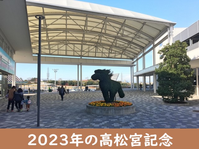 2023年⇒高松宮記念の日程・出走時間⇒出馬予定表！指定席チケットの抽選日