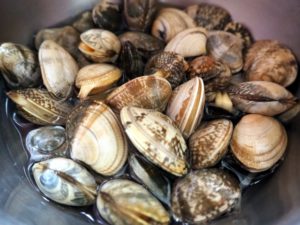 あさり（殻付き、砂抜き後）、二枚貝の常温・冷蔵庫・冷凍保存の日持ち・賞味期限
