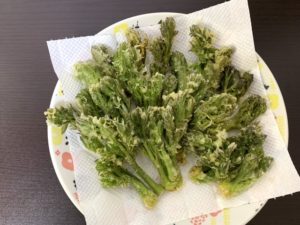 山菜の天ぷら（フキやタラの芽、こごみ、ウド）の保存方法：常温と冷蔵庫の保管、冷凍保存できる期間