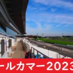 【2023年】オールカマーの日程・発走時間⇒出走予定馬！抽選と指定席