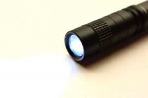 虫に効果がある光：LED以外のペン型のライト