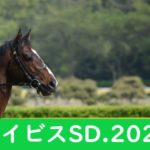 【2023年】アイビスサマーダッシュの枠順発表⇒出走時間と日程＋出走予定馬