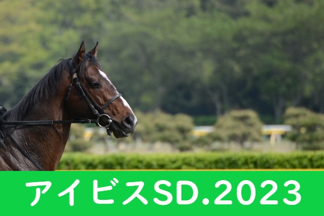 【2023】アイビスサマーダッシュの枠順発表⇒出走時間と日程＋出走予定馬