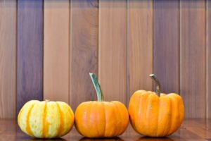 ハロウィンのカボチャの種類：ペポカボチャとハロウィンかぼちゃ