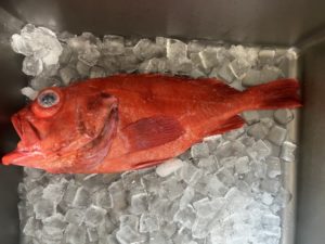 サバ以外⇒味噌煮に合う魚は「赤魚のアンコウダイ」が年々お得じゃなくなっている