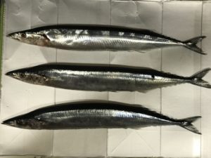 秋刀魚（さんま）の竜田揚げ：人気の下味冷凍レシピ、竜田揚げの漬け込み時間