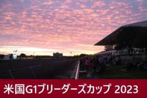 BCターフ⇒2023年ブリーダーズカップの日本時間と日程！日本馬の出走