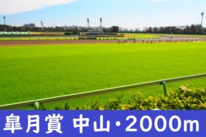 【2024年】皐月賞の発走時間と日程！出走予定馬と入場券チケット！指定席