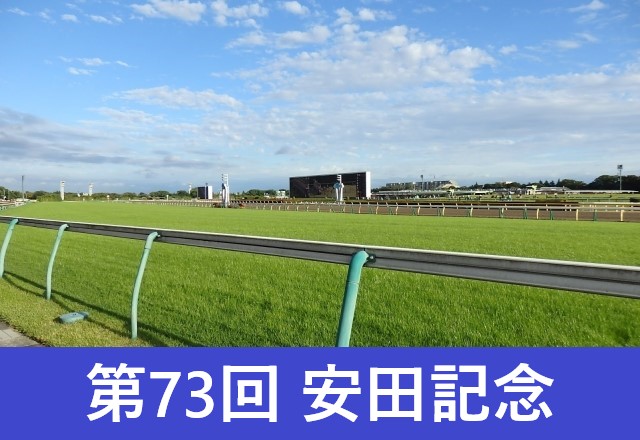 【2024年】安田記念の発走時間と日程！出走予定馬と入場券チケットと指定席