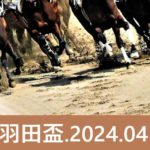 【2024年】羽田盃の日程と発走時間！出走予定馬とチケット指定席情報！