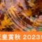 2023年の天皇賞秋の出走時間日程＋出走予定馬と抽選入場券と指定席チケット